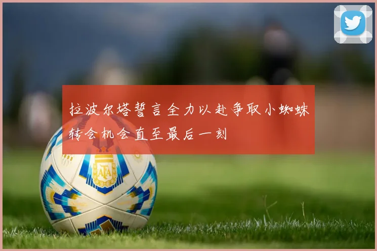 拉波尔塔誓言全力以赴争取小蜘蛛转会机会直至最后一刻
