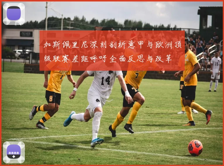 加斯佩里尼深刻剖析意甲与欧洲顶级联赛差距呼吁全面反思与改革